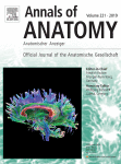 Annals of Anatomy - Anatomischer Anzeiger