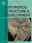 Arthropod Structure & Development