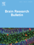 مجله علمی  بولتن تحقیقات مغز 