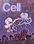 مجله علمی  سلول