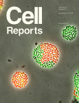 مجله علمی  گزارش های سلول