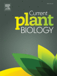 Current Plant Biology