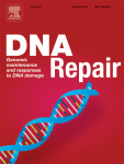 Journal: DNA Repair