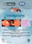 Journal: Endoscopia