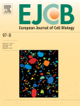 مجله علمی  اروپایی زیست شناسی سلولی