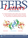 Journal: FEBS Letters
