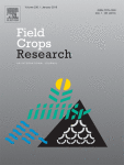 مجله علمی  تحقیقات محصولات زراعی 