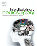 Interdisciplinary Neurosurgery