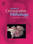 Journal: Journal of Comparative Pathology