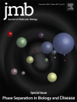 Journal: Journal of Molecular Biology