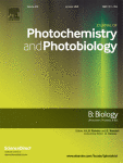مجله علمی  فوتوشیمی و فوتوبیولوژی ب: زیست شناسی