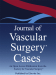 Journal of Vascular Surgery Cases cover