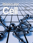 مجله علمی  سلول مولکولی