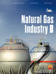 Journal: Natural Gas Industry B