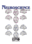 Journal: Neuroscience