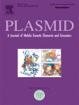 Plasmid