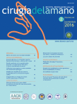 Journal: Revista Iberoamericana de Cirugía de la Mano
