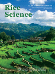 Journal: Rice Science
