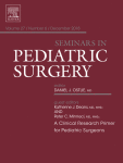 Journal: Seminars in Pediatric Surgery