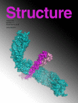 Journal: Structure