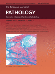 The American Journal of Pathology