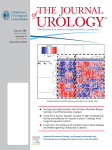 Journal: The Journal of Urology