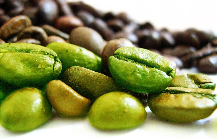 کافئین موجود در قهوه سبز باعث افزایش سوخت و ساز در بدن می‌شود