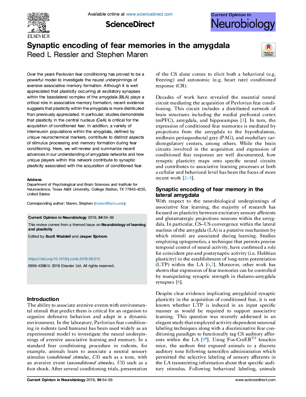 Synaptic encoding of fear memories in the amygdala