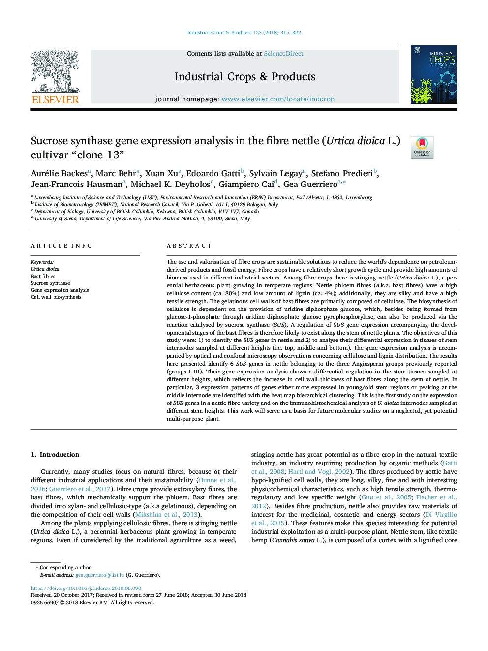 Sucrose synthase gene expression analysis in the fibre nettle (Urtica dioica L.) cultivar “clone 13”