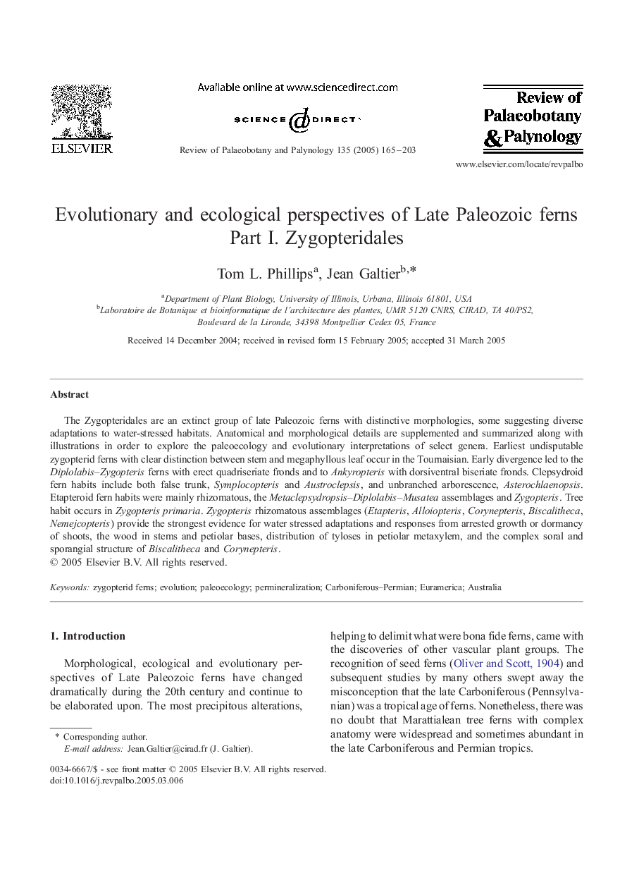 Evolutionary and ecological perspectives of Late Paleozoic ferns