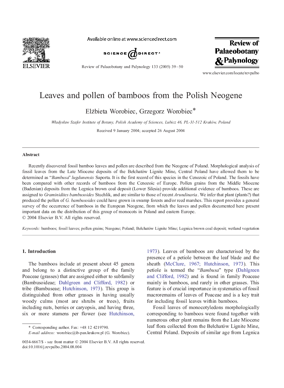 Leaves and pollen of bamboos from the Polish Neogene