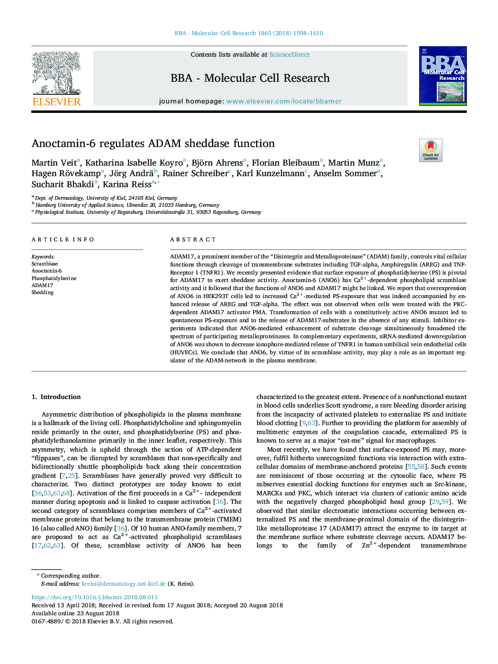 Anoctamin-6 regulates ADAM sheddase function