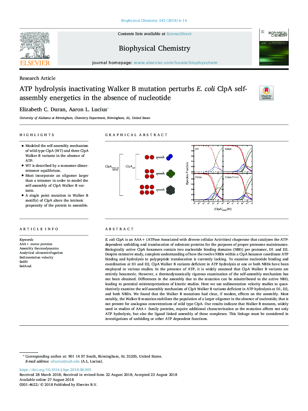 ATP hydrolysis inactivating Walker B mutation perturbs E. coli ClpA self-assembly energetics in the absence of nucleotide