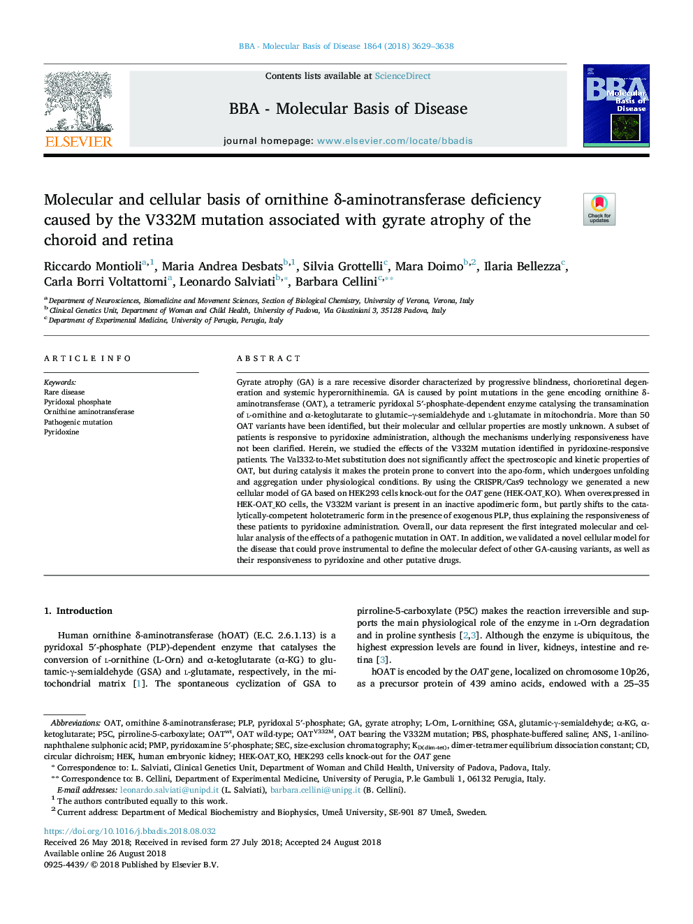 Molecular and cellular basis of ornithine Î´-aminotransferase deficiency caused by the V332M mutation associated with gyrate atrophy of the choroid and retina