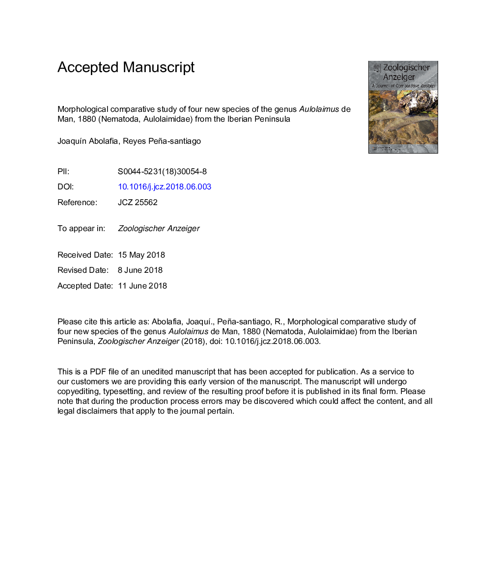 Morphological comparative study of four new species of the genus Aulolaimus de Man, 1880 (Nematoda, Aulolaimidae) from the Iberian Peninsula