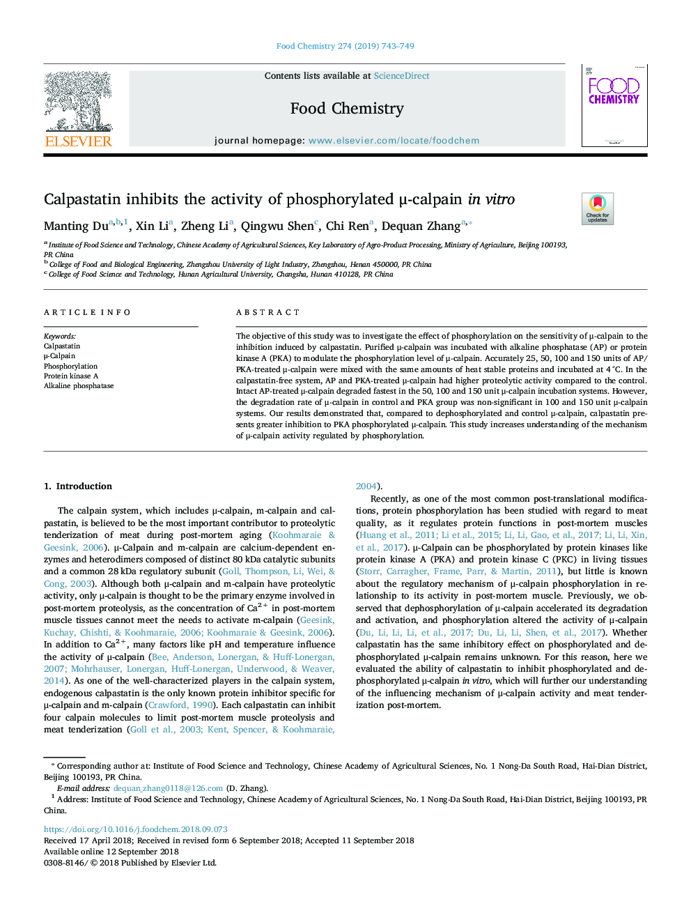 Calpastatin inhibits the activity of phosphorylated Î¼-calpain in vitro