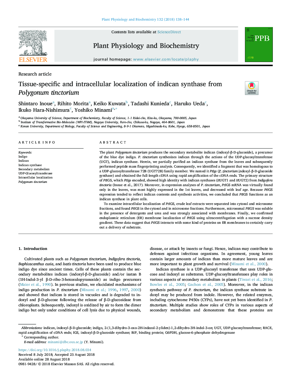 Tissue-specific and intracellular localization of indican synthase from Polygonum tinctorium