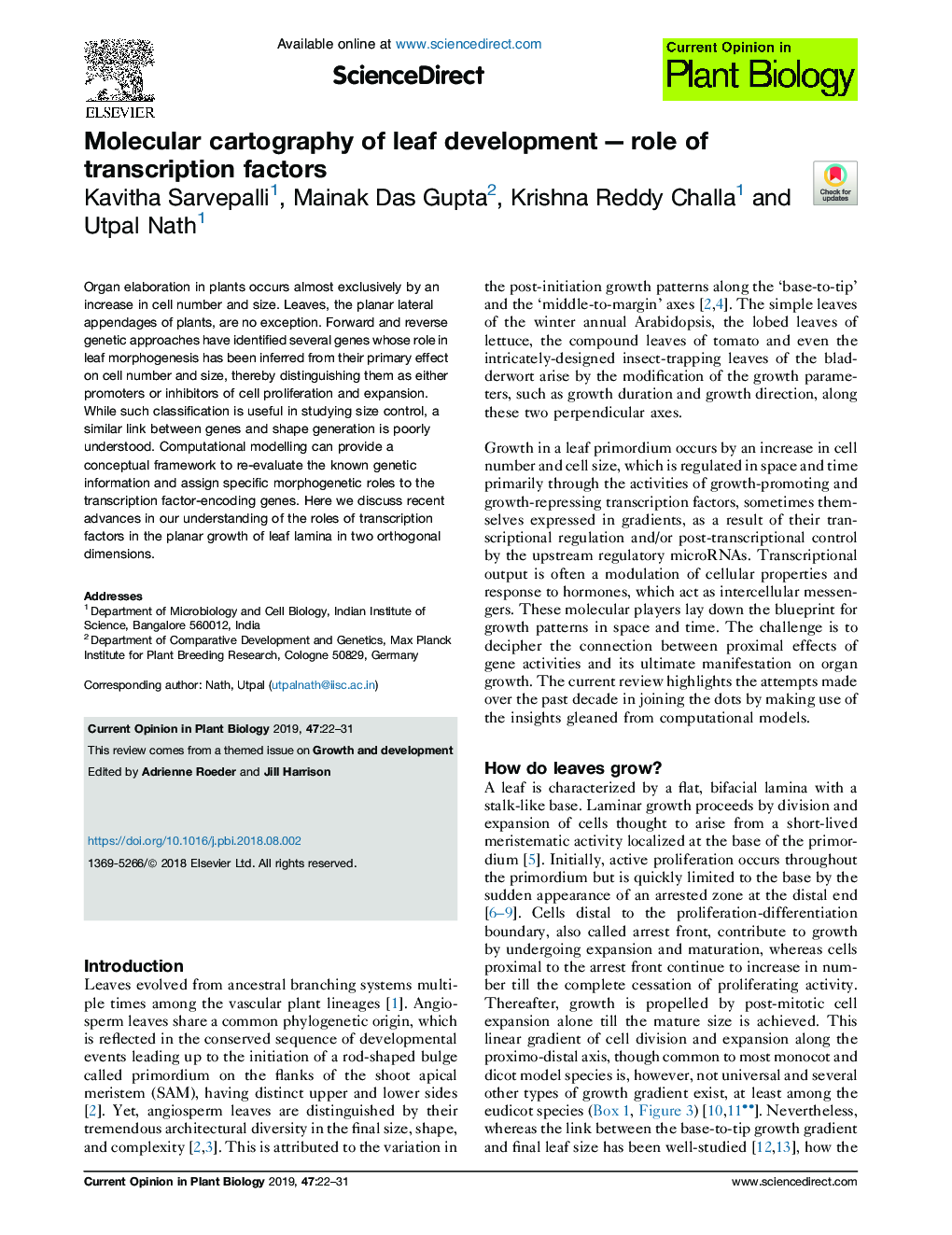 Molecular cartography of leaf developmentâ-ârole of transcription factors