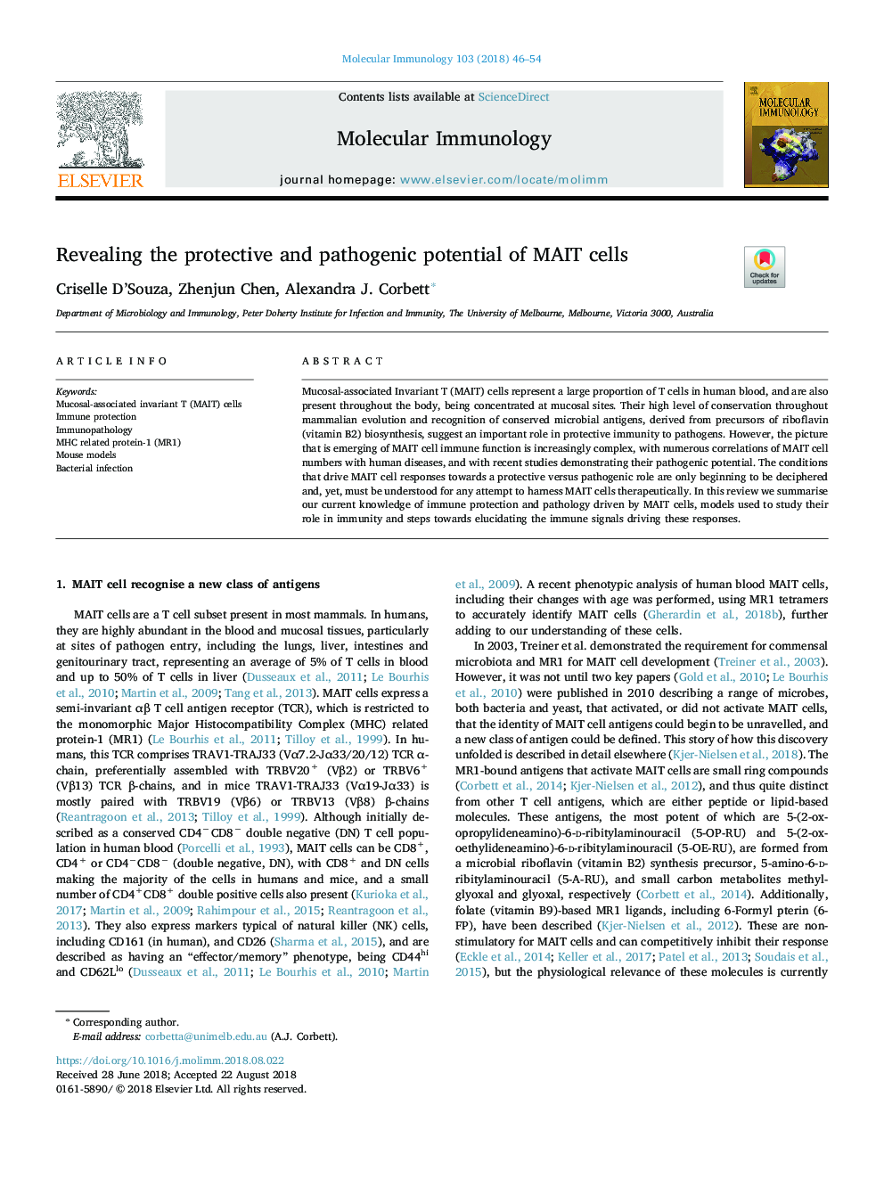 Revealing the protective and pathogenic potential of MAIT cells