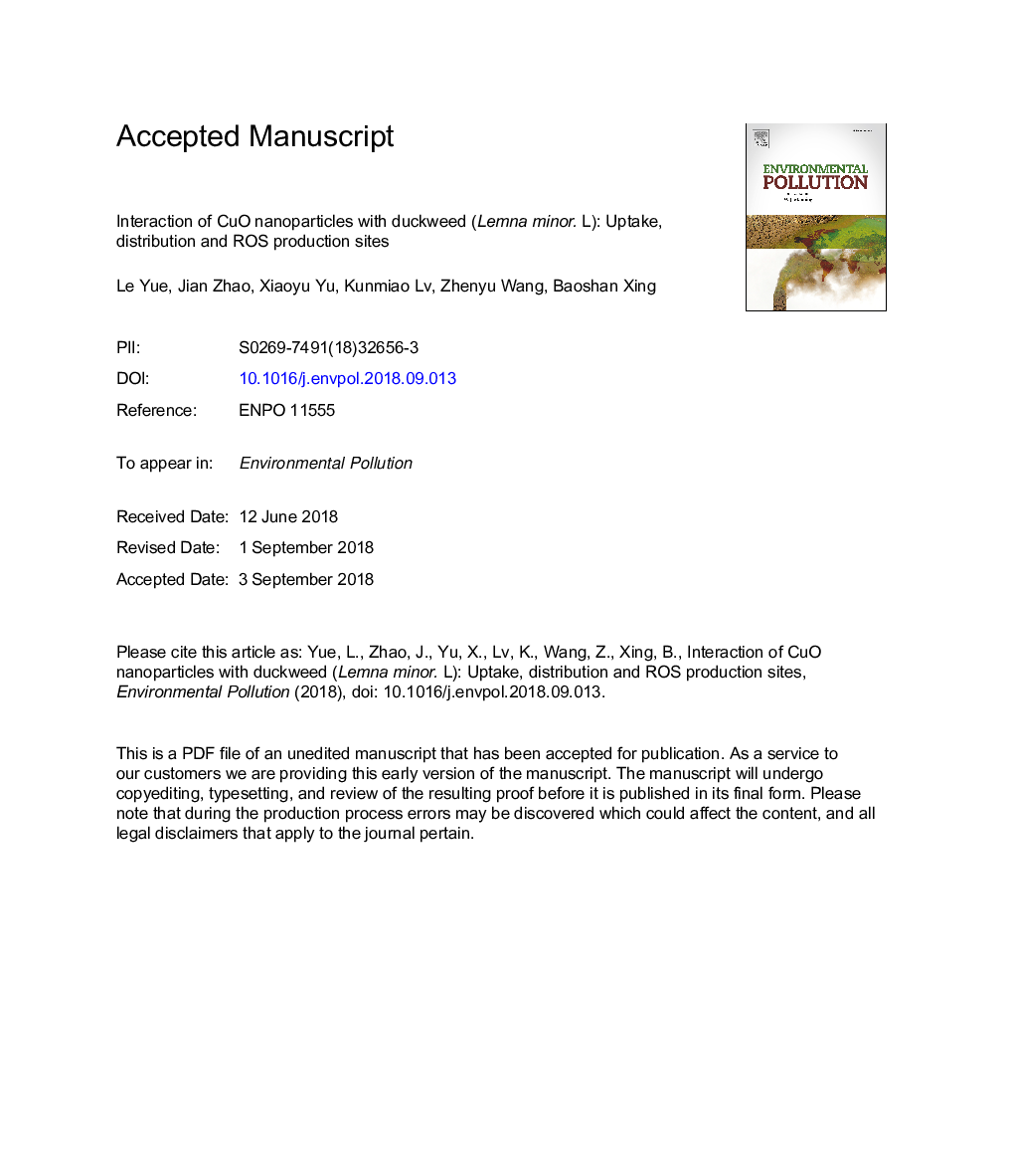 Interaction of CuO nanoparticles with duckweed (Lemna minor. L): Uptake, distribution and ROS production sites