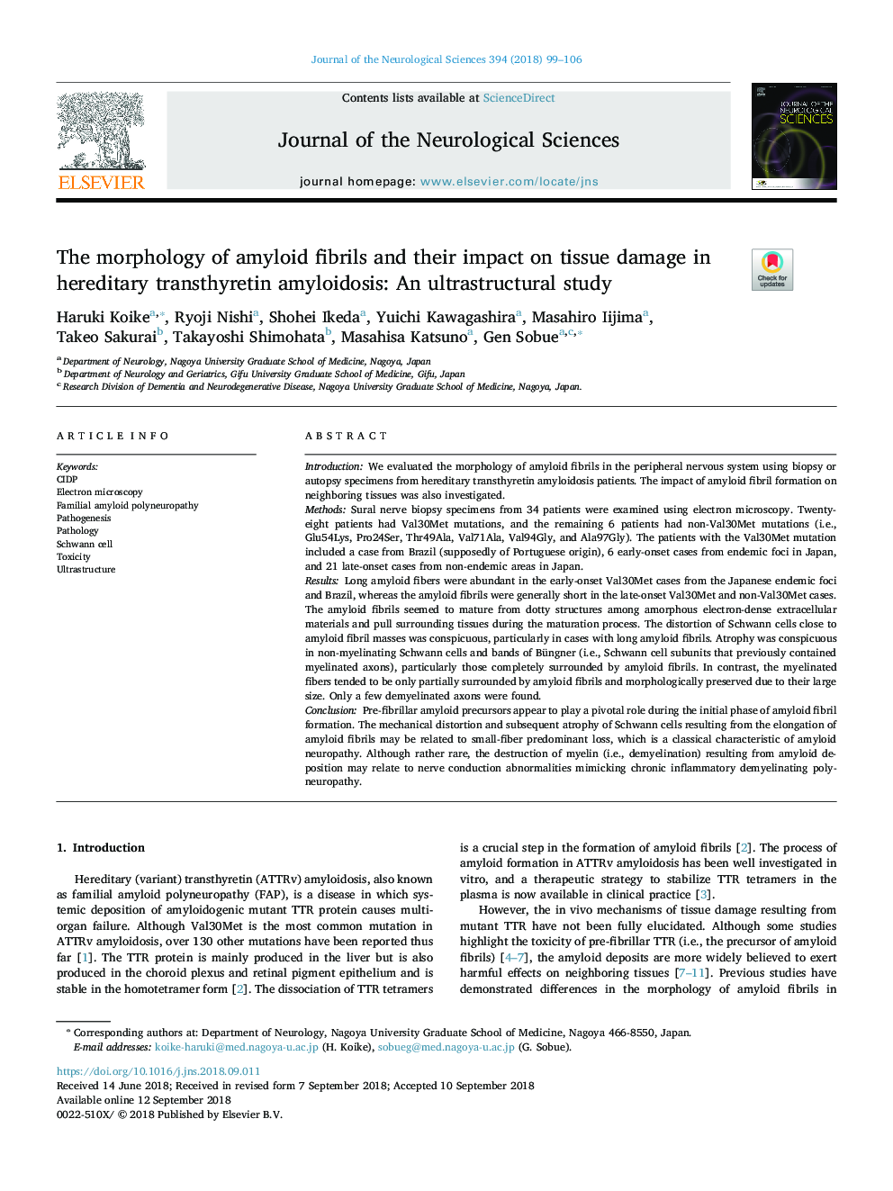 The morphology of amyloid fibrils and their impact on tissue damage in hereditary transthyretin amyloidosis: An ultrastructural study