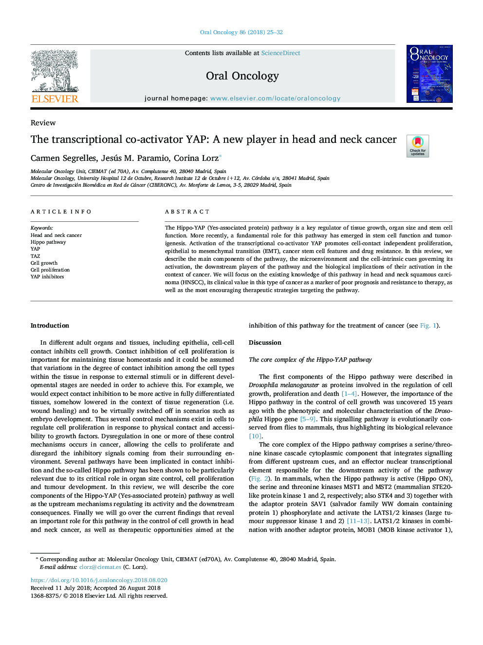 The transcriptional co-activator YAP: A new player in head and neck cancer