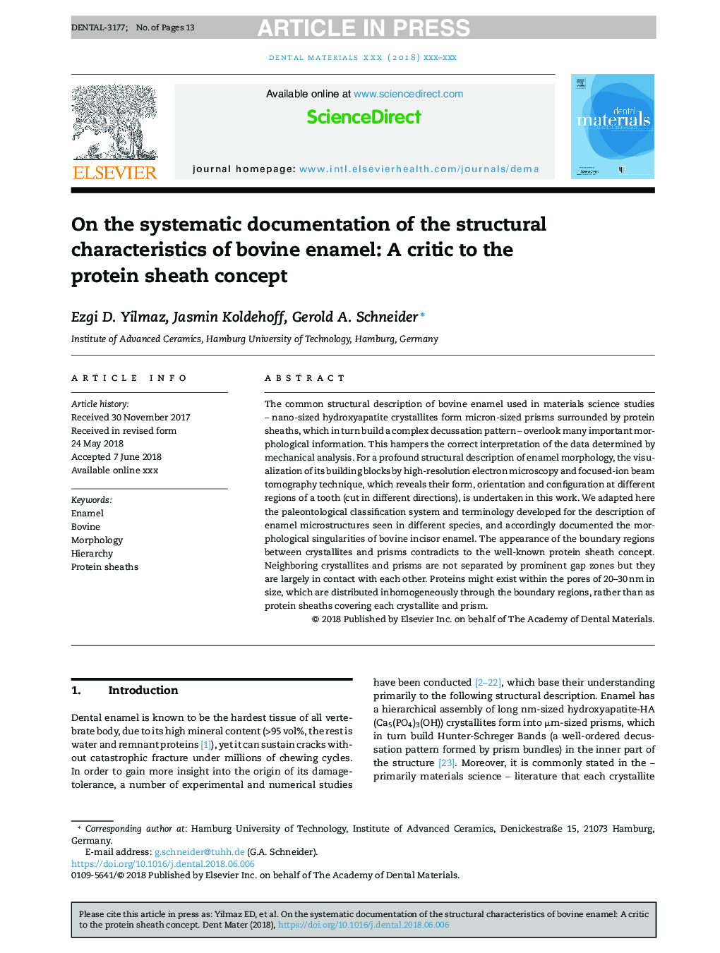 On the systematic documentation of the structural characteristics of bovine enamel: A critic to the protein sheath concept