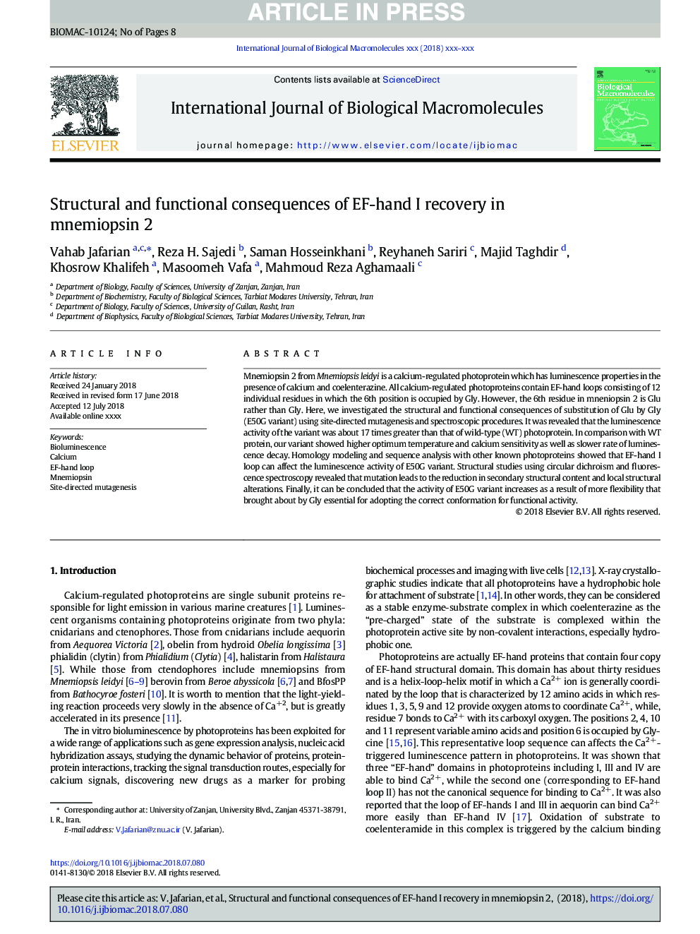 Structural and functional consequences of EF-hand I recovery in mnemiopsin 2