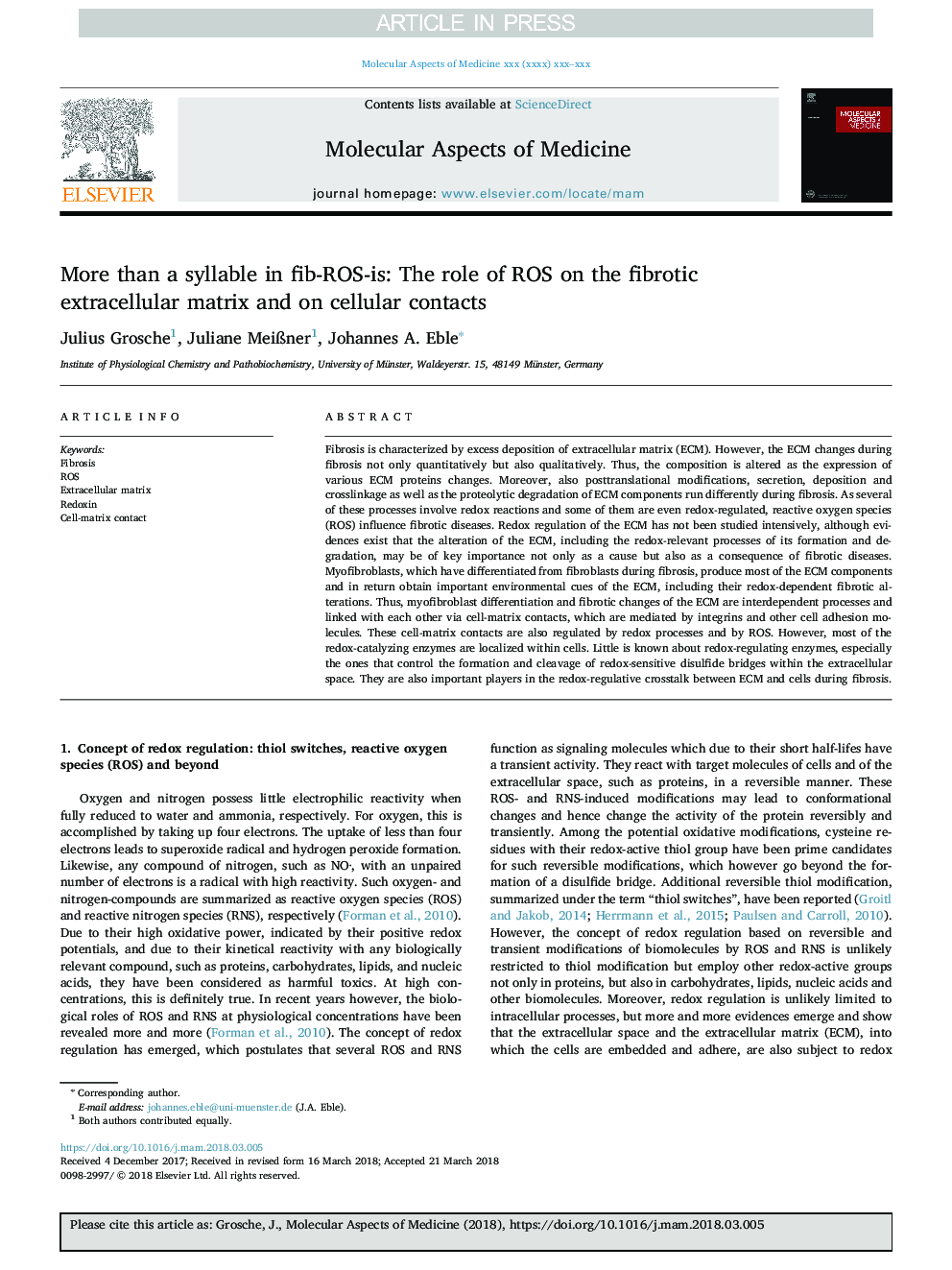 More than a syllable in fib-ROS-is: The role of ROS on the fibrotic extracellular matrix and on cellular contacts