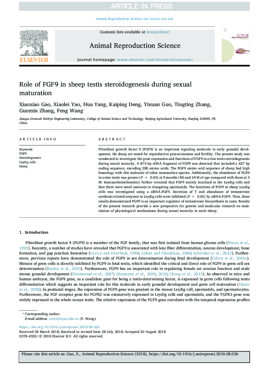 Role of FGF9 in sheep testis steroidogenesis during sexual maturation