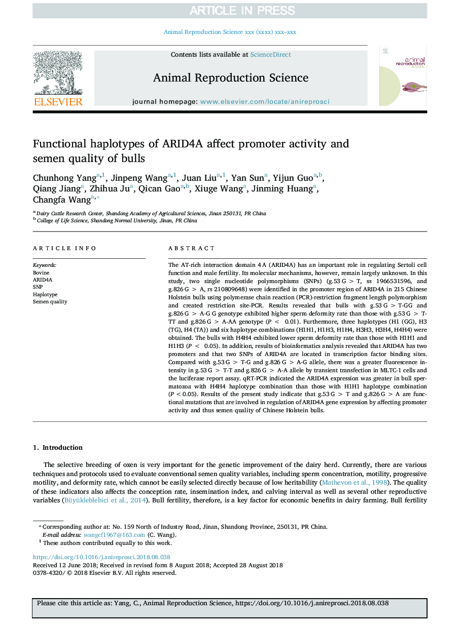 Functional haplotypes of ARID4A affect promoter activity and semen quality of bulls