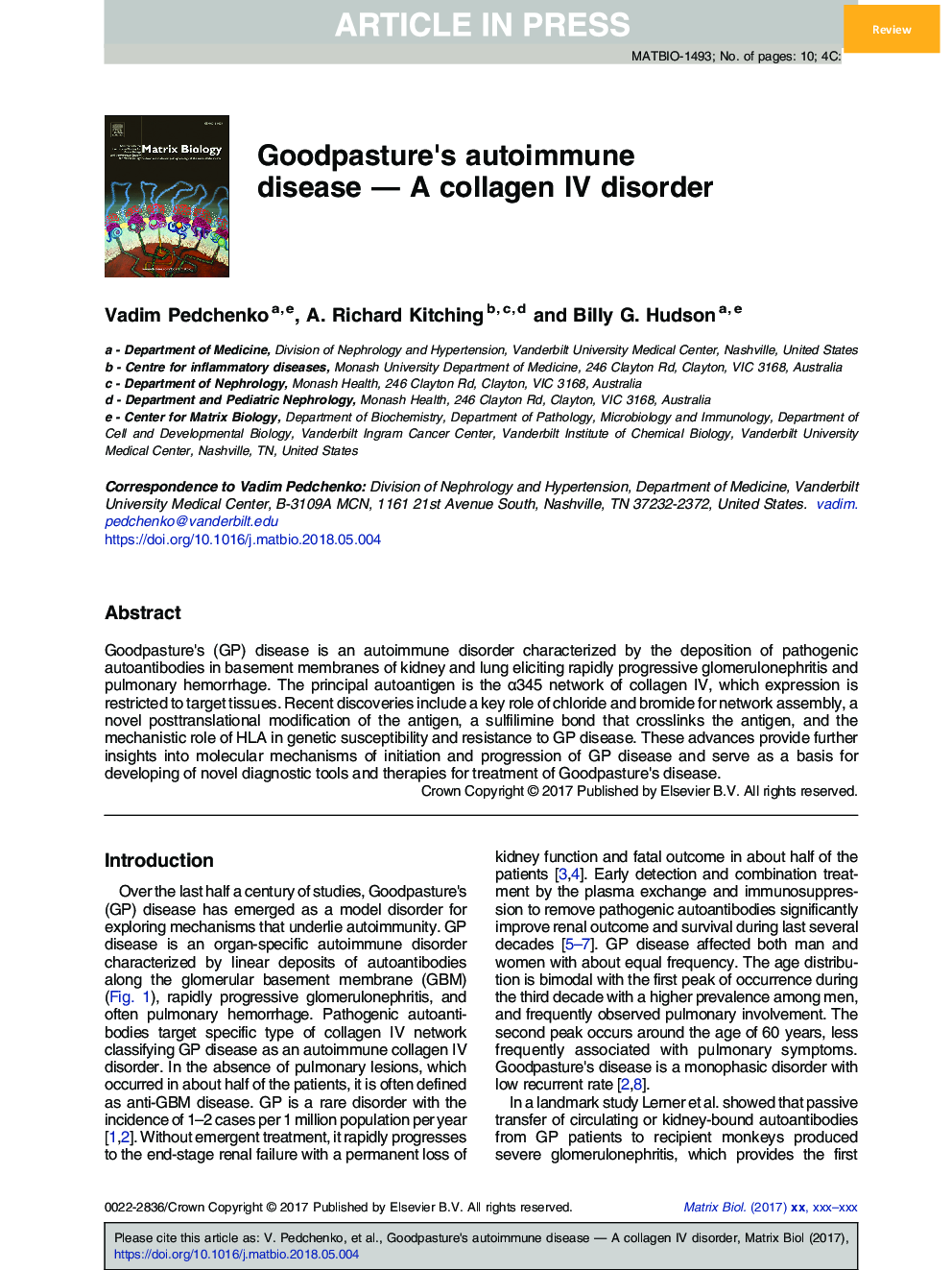 Goodpasture's autoimmune disease - A collagen IV disorder