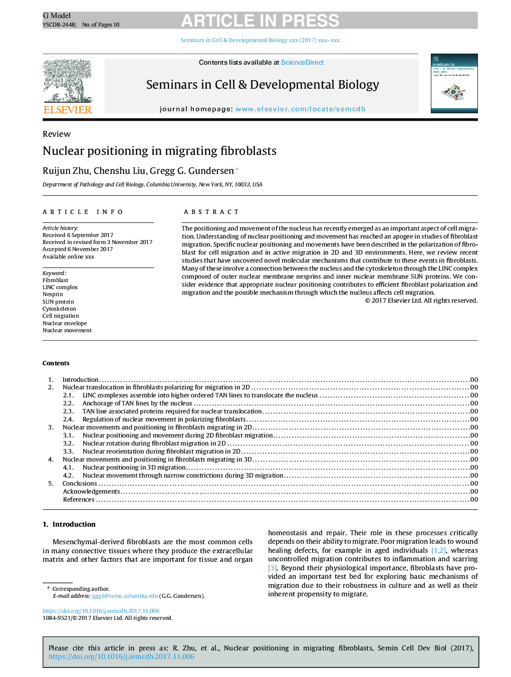 Nuclear positioning in migrating fibroblasts