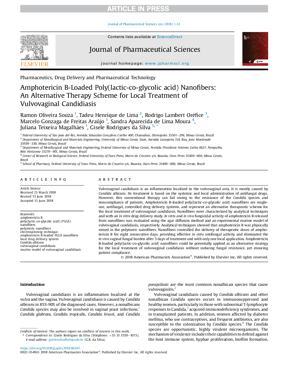 Amphotericin B-Loaded Poly(lactic-co-glycolic acid) Nanofibers: An Alternative Therapy Scheme for Local Treatment of Vulvovaginal Candidiasis